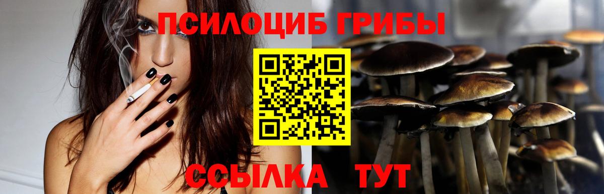 Псилоцибиновые грибы Cubensis Валуйки