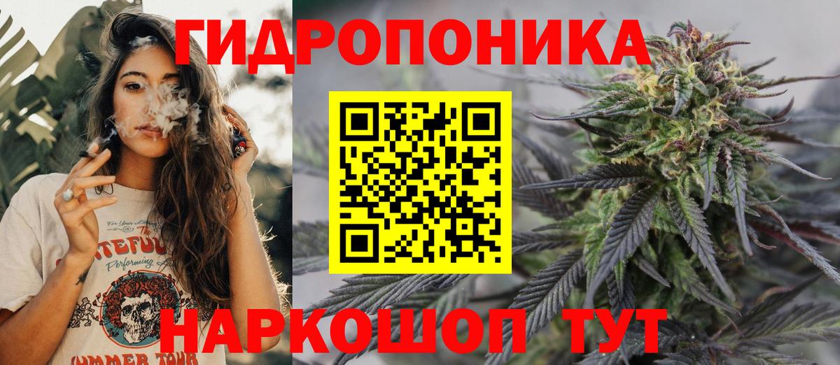 Бошки Шишки планчик Валуйки